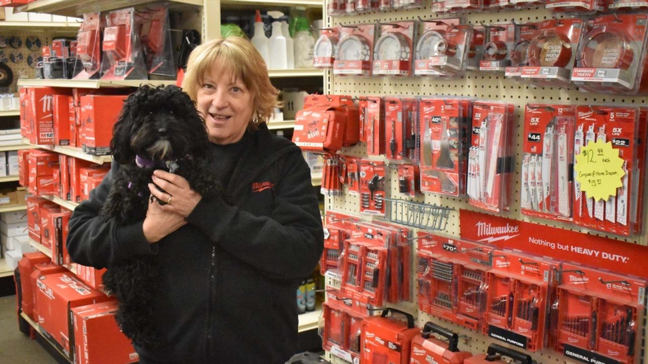 KS Tools affidabili e duraturi – Acquista su Misterworker